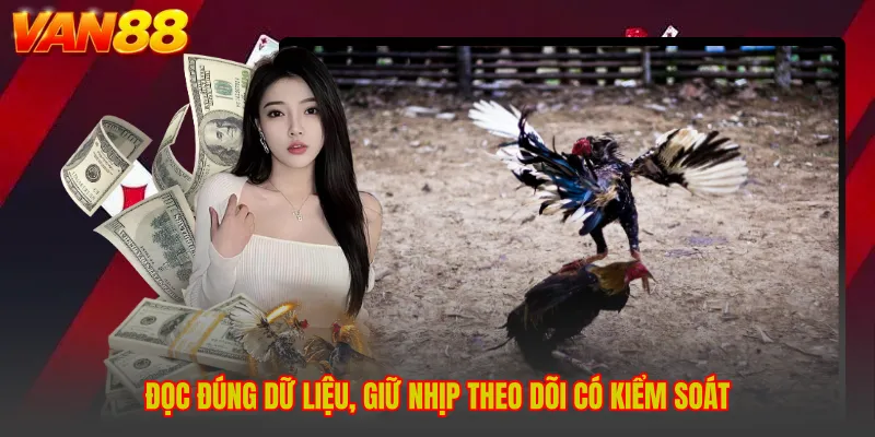 Đá Gà VAN88 - Tìm Hiểu Thế Giới Kịch Tính Với Nhiều Sắc Thái