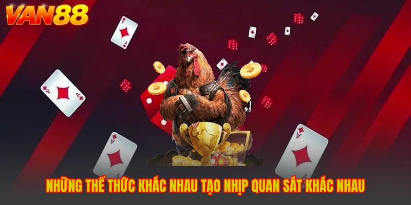 Đá Gà VAN88 - Tìm Hiểu Thế Giới Kịch Tính Với Nhiều Sắc Thái